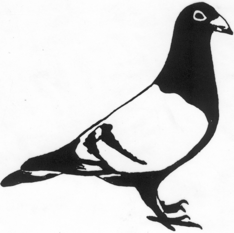 Een afbeelding van een duif die kan worden gezandstraald op een grafmonument